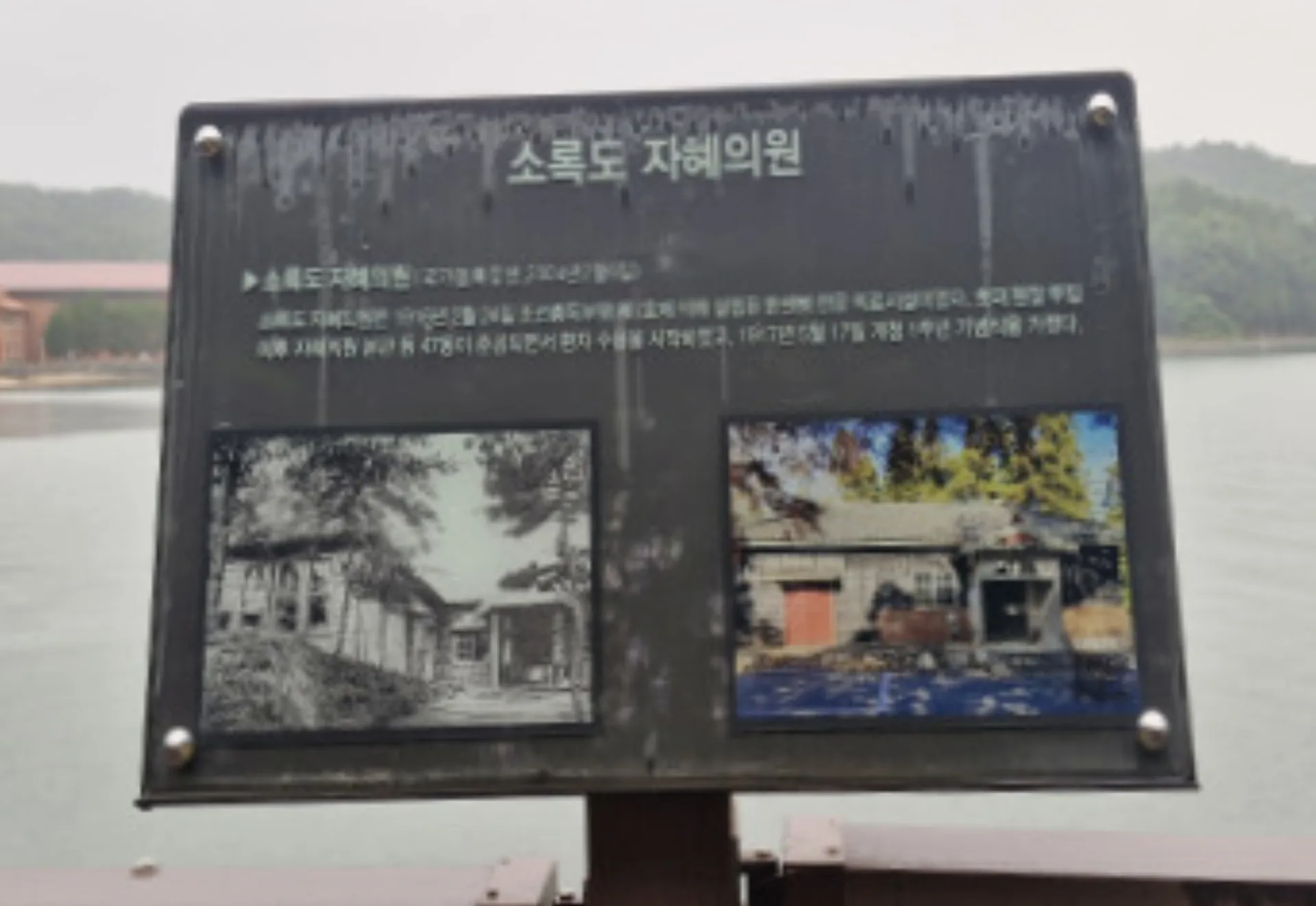 안부호 교수 소록도병원 근무와 인권침해 가담 여부